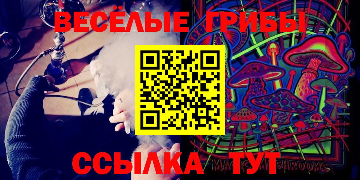 Псилоцибиновые грибы Psilocybe Алатырь